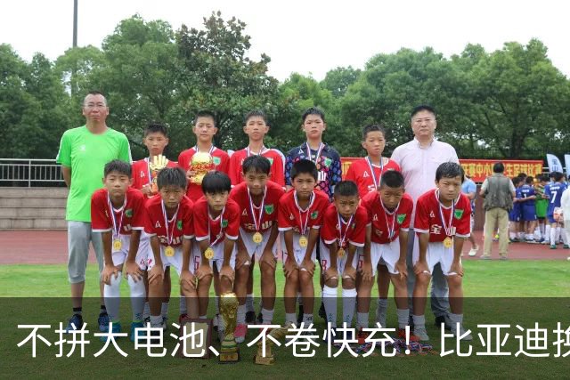 不拼大电池、不卷快充！比亚迪换赛道，两大黑科技量产上车