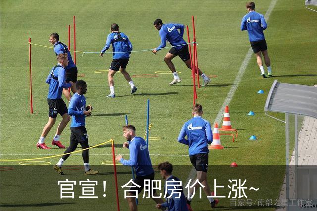官宣！合肥房价上涨~