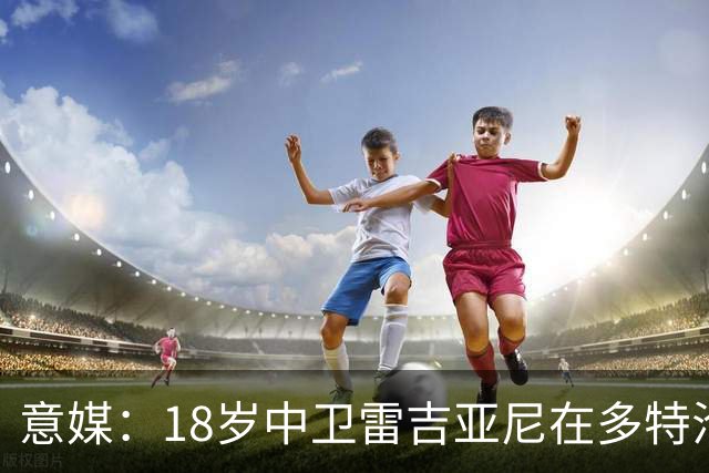 意媒：18岁中卫雷吉亚尼在多特沦为边缘人，AC米兰有意替代加比亚
